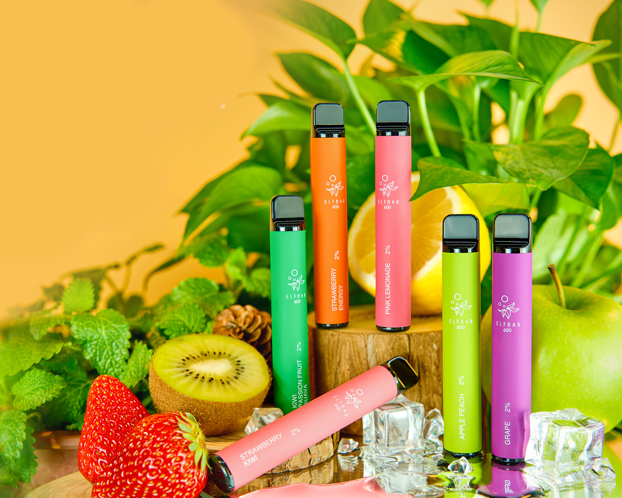 [ZAUBERPORTAL_CPL] Elfbar Products 500€ - [DE] - [MOB] - $3